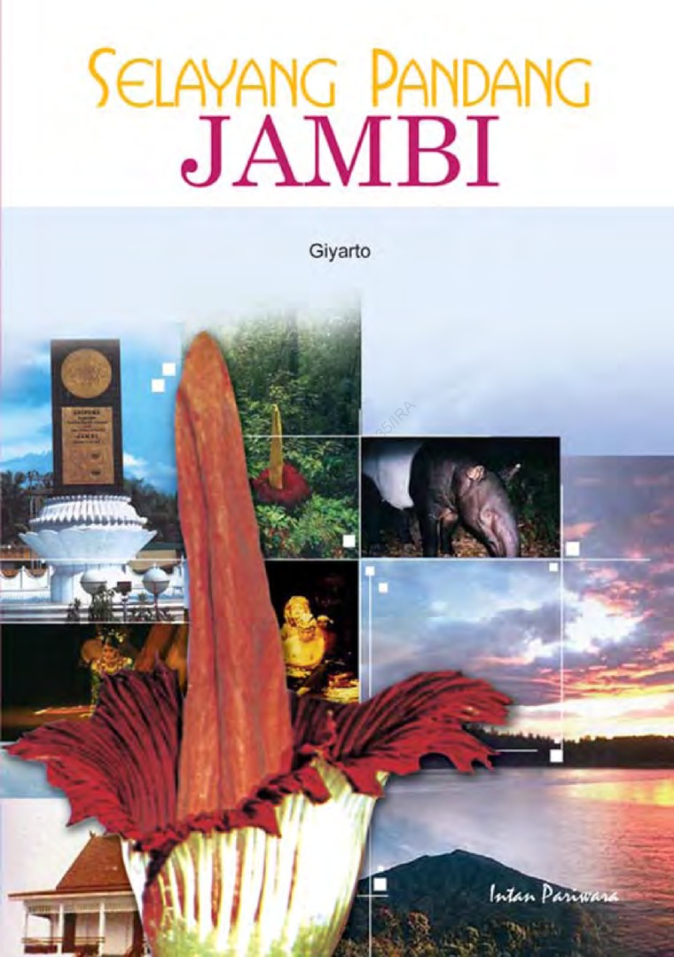 Cover Selayang Pandang Jambi