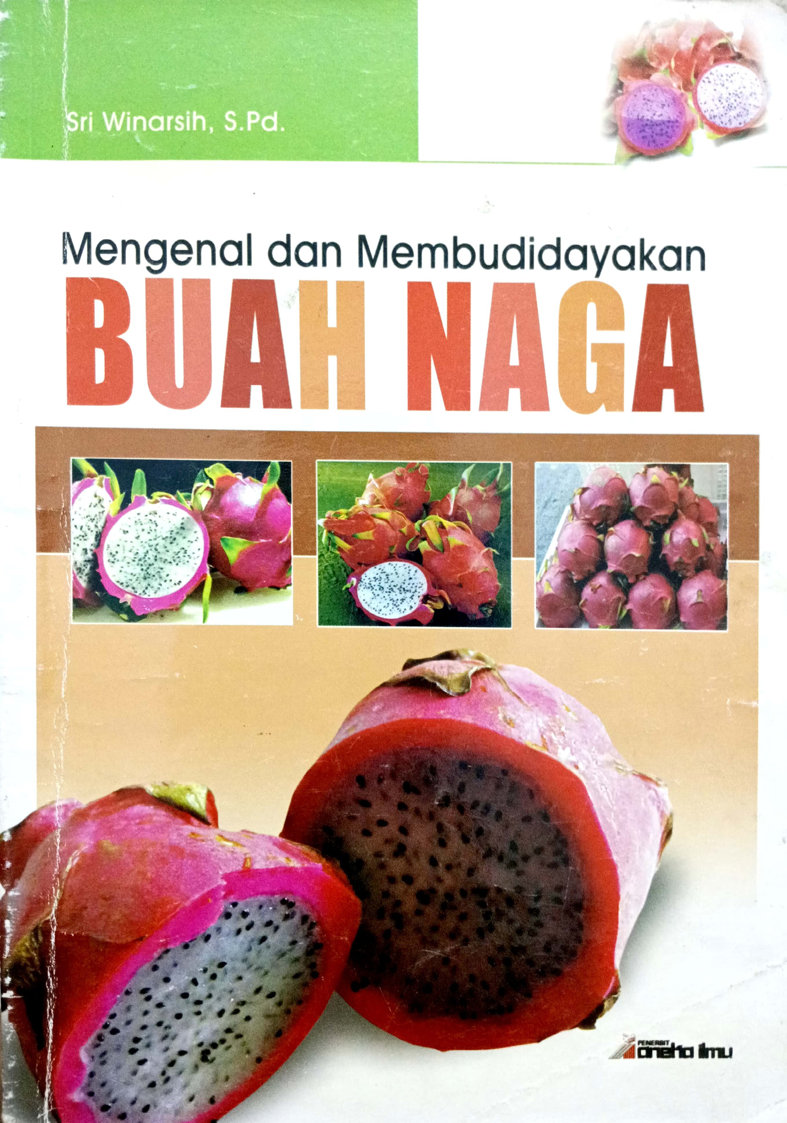 Cover Mengenal dan Membudidayakan Buah Naga